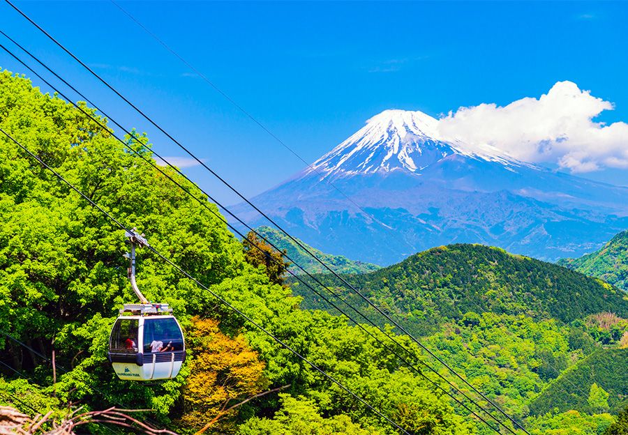 葛城山　静岡　伊豆パノラマパーク　見どころ　おすすめポイント　山麓エリアと山頂エリアを結ぶロープウェイ　富士山　ゴンドラ　大自然