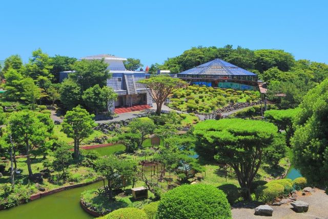 伊豆 子連れ 観光スポット 伊豆シャボテン動物公園