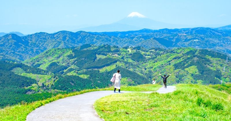 Izu sightseeing model course｜Images of recommended spots to visit by car and day trip