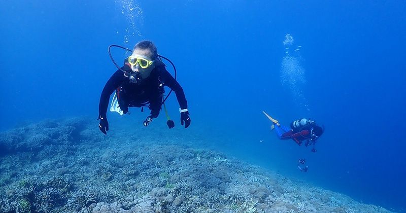 Izu diving │ Popular experience tour ranking to dive at diving points with outstanding transparency