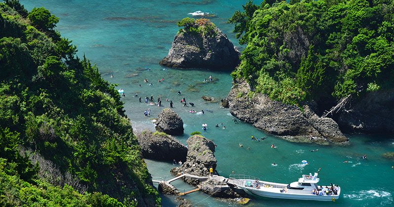 When is the Izu snorkeling season? A thorough introduction to popular and secret spots and recommended experience tours!