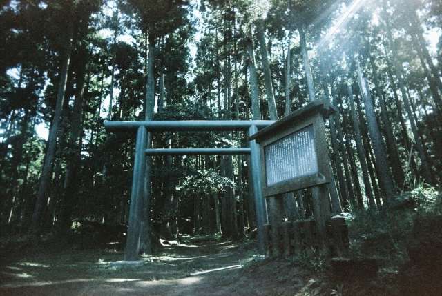 12 สถานที่ท่องเที่ยวยอดนิยมบนอิซุ โอชิมะ 12. ศาลเจ้าฮาจิคามะ