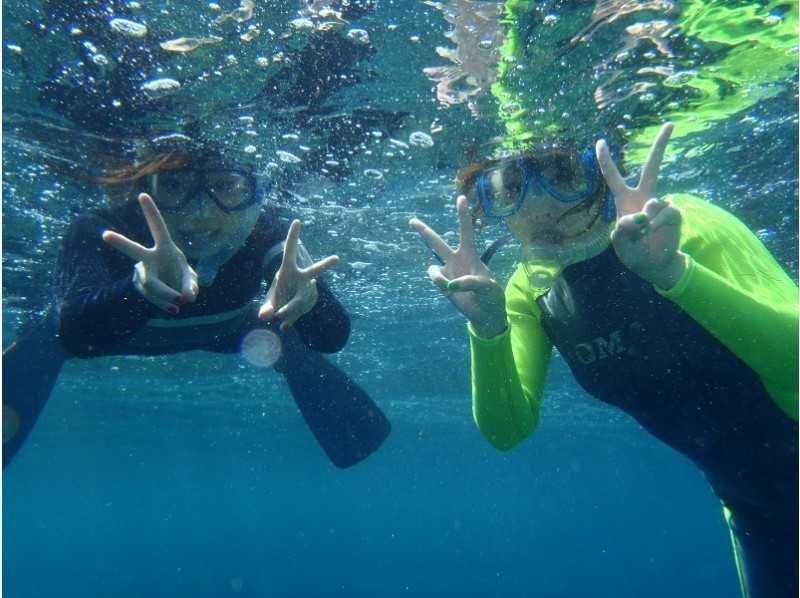 伊豆大島でおすすめの体験・アクティビティ