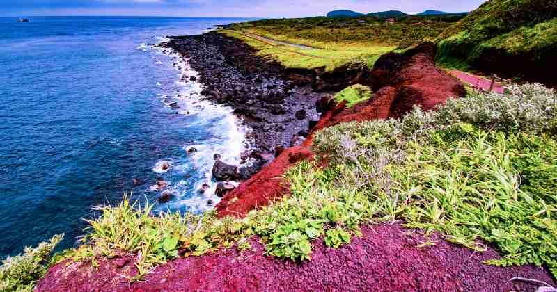 12 Recommended Sightseeing Spots in Izu Oshima! Popular tour & gourmet special feature