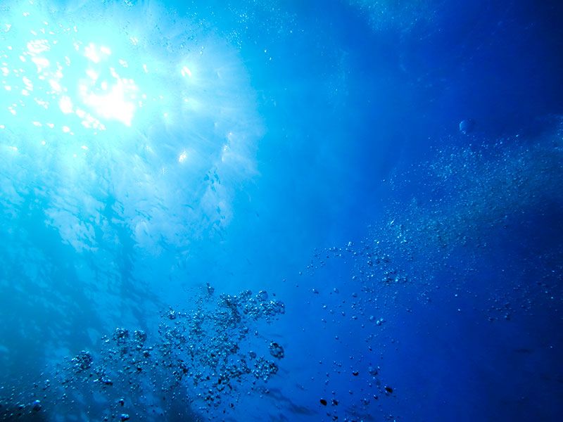 คุณสมบัติการดำน้ำของ Izu Oshima! แนะนำร้านดำน้ำที่แนะนำและการจัดอันดับทัวร์ประสบการณ์ยอดนิยม!