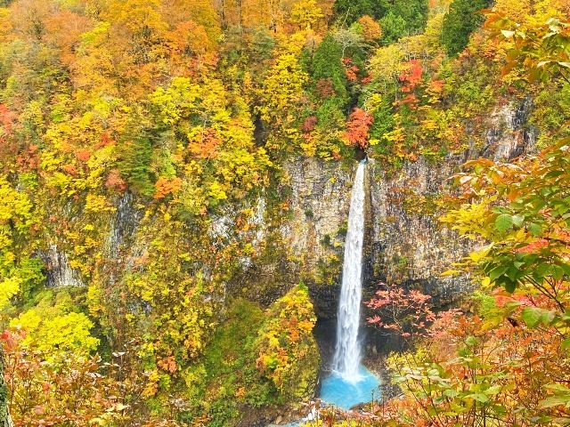 Famous waterfall, Shiramizu Falls, Gifu