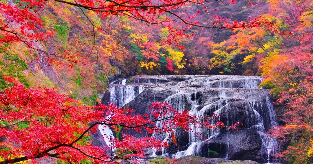 Japan's Three Greatest Waterfalls: A Complete Guide to Their Names, Locations, and Highlights!