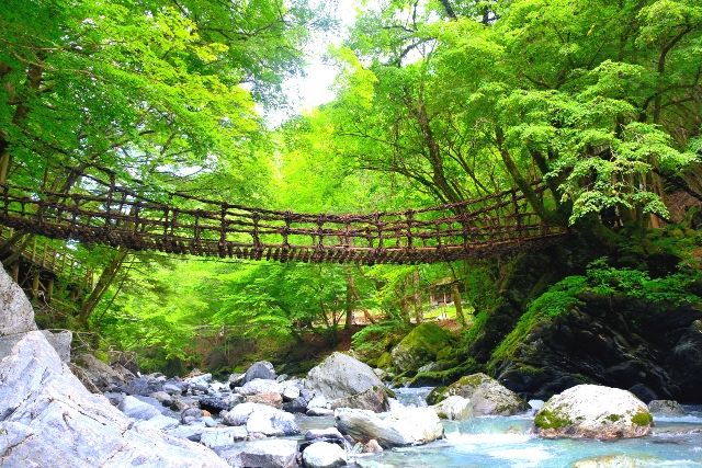 日本の三大秘境スポット 徳島・祖谷 かずら橋