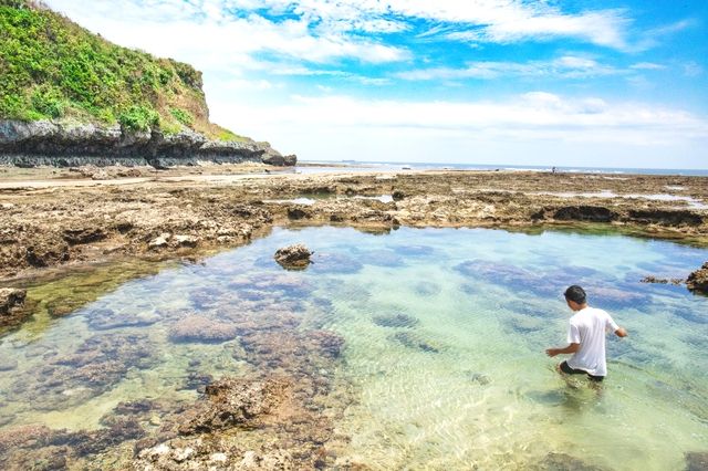 หาดจอห์นแมน หาดโอโดฮามะ เด็กๆ เล่นกับอิโนะ