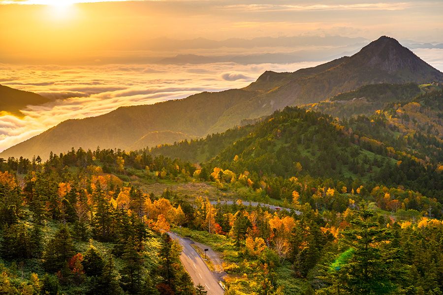 อุทยานแห่งชาติ Joshinetsu Kogen สถานที่ท่องเที่ยวเล่นกิจกรรมยามว่าง Shiga Kogen ในฤดูใบไม้ร่วง ใบไม้เปลี่ยนสี ภูเขา Yokote ทะเลเมฆ