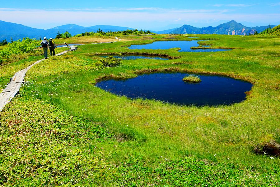 Joshinetsu Kogen National Park, tourist spots, leisure, leisure specials, Mt. Naeba, Japan's 100 famous mountains, 100 famous flower mountains, mountain peak, marshland, pond, climbers, alpine plants, marsh plants