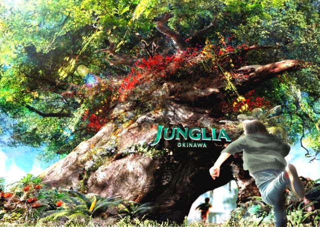 Junglia 冲绳 图片