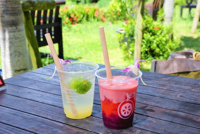 沖縄・石垣島　川平湾周辺　おすすめカフェ　カラフルなスムージー　イメージ