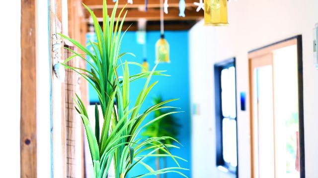 沖縄・石垣島「OceanStudio」　川平湾　おすすめカフェ　「がじゅまるのブランコ」