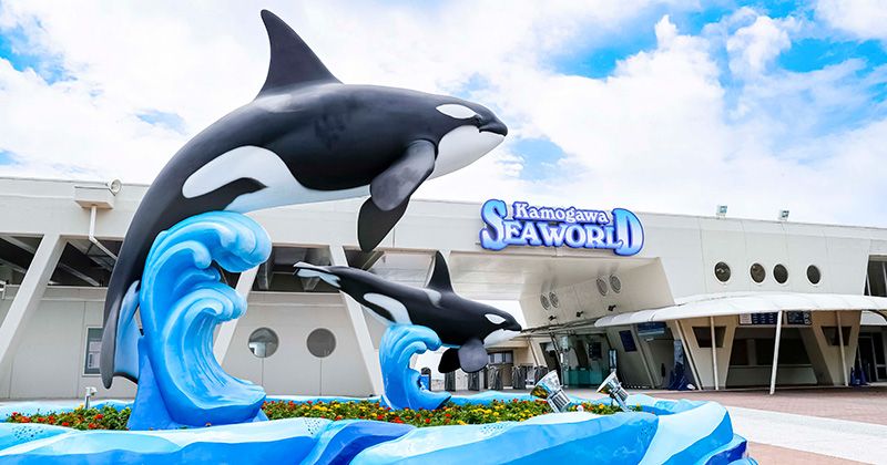 Kamogawa Sea World discount admission ticket information & advance ticket sales