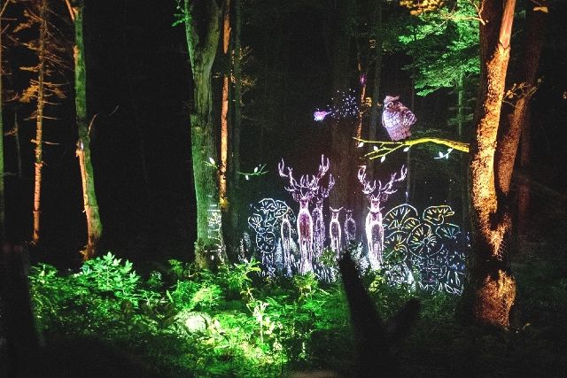 Hokkaido Kamuy Lumina Night Walk