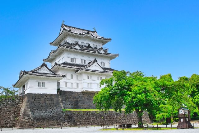 神奈川晴天小田原城