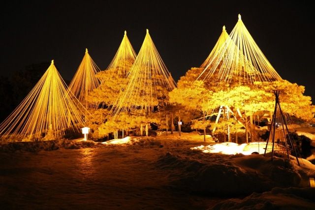 Illuminated Yukitsuri at Kenrokuen Garden in Kanazawa