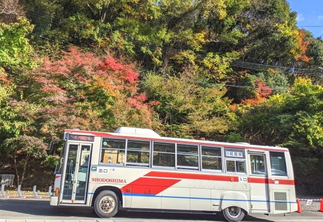 Kankakei route bus