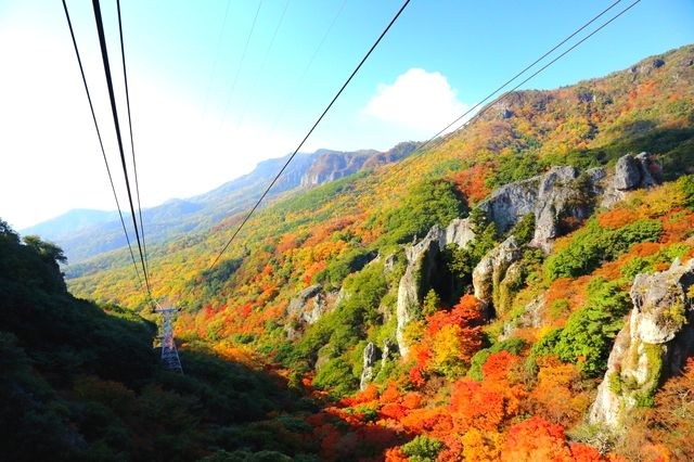 กระเช้าลอยฟ้า Kankakei และใบไม้เปลี่ยนสีในฤดูใบไม้ร่วง