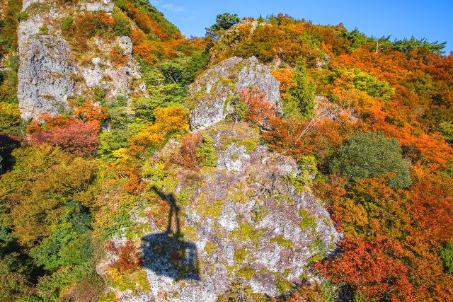 寒霞渓の紅葉にうつるロープウェイの影