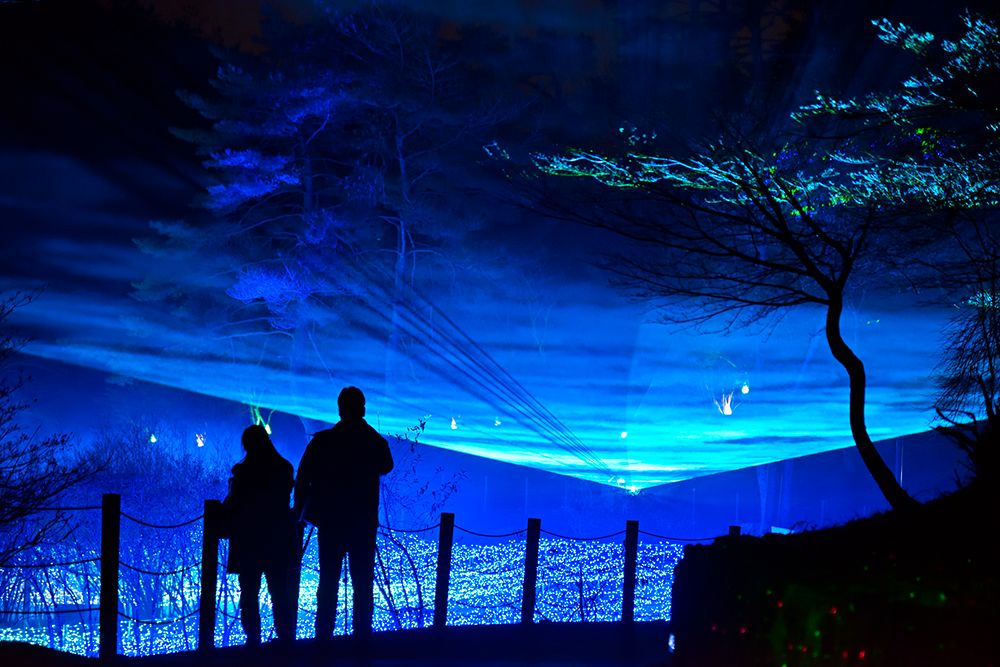 關西地區推薦的聖誕節約會地點 京都聖誕節約會地點 京都燈光秀 Synesthesia Hills 琉璃溪溫泉 聖誕節活動 適合拍照