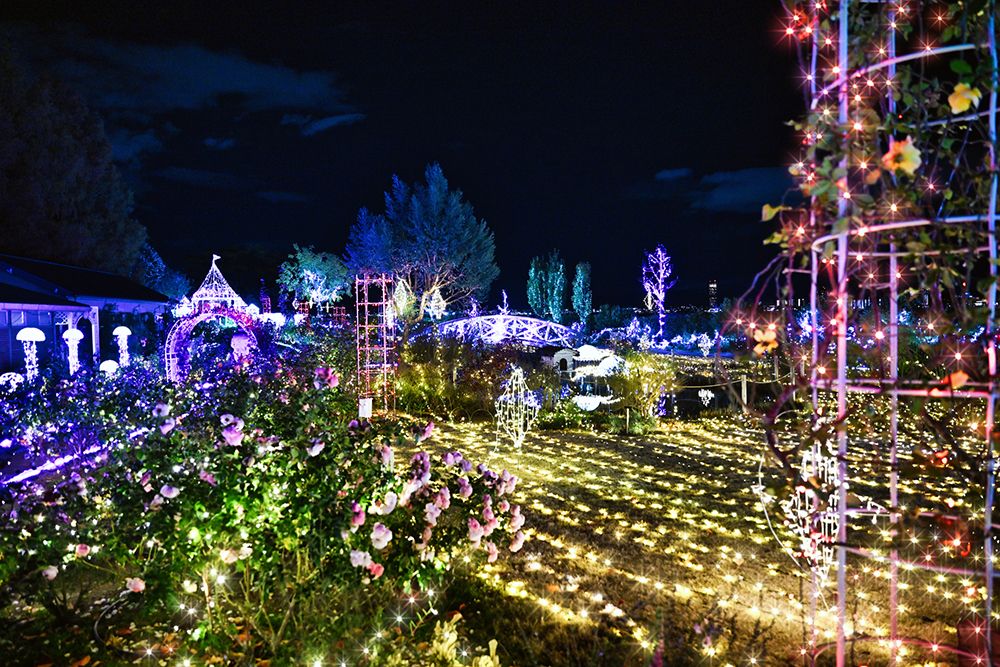 關西地區聖誕約會推薦 特別推薦 滋賀縣縣聖誕約會地點 琵琶湖大塾 琵琶湖夜色中的閃光生物
