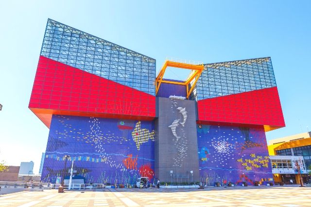 関西・大阪　日帰り旅行　女子旅　海遊館