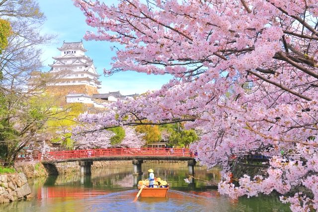関西・兵庫　日帰り旅行　女子旅　春の姫路城