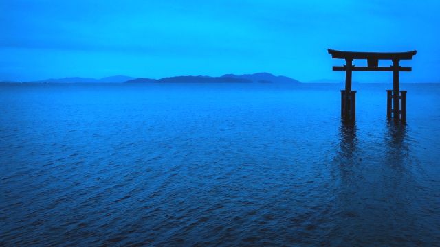漂浮在滋賀縣縣琵琶湖上的白須神社鳥居