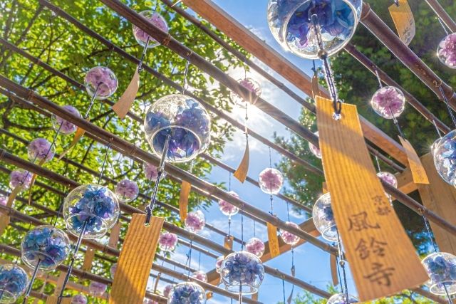 Wind Chime Festival at Shojuin (Furin Temple) in Kyoto