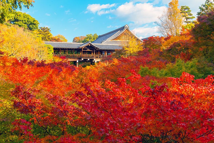 Autumn tourist attractions Kyoto Tofukuji Temple Famous place for autumn leaves Tsutenkyo Bridge Colorful autumn leaves