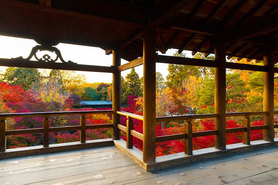 秋天的旅游景点 京都 东福寺 红叶名胜 通天桥 色彩缤纷的红叶