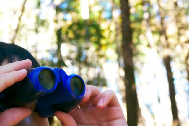 Boy looking through binoculars in the woods