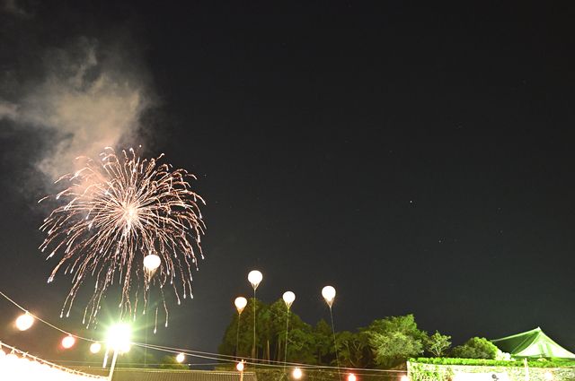 Fireworks at the Tamba Sasayama Dekansho Festival in Hyogo