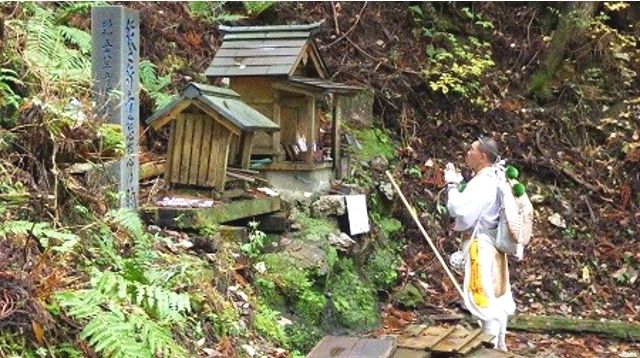 "Kuma no Experience" Kumano Kodo Hiking Tour