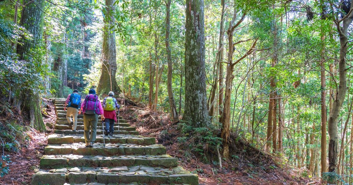 Kansai 登山 ハイキング・トレッキング 初心者向けのおすすめツアーの画像