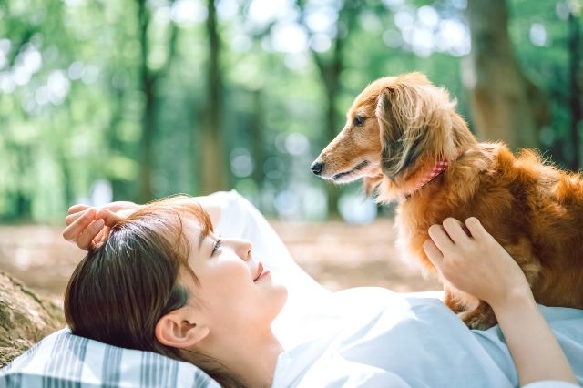 ペットとお出かけを楽しむ女性　愛犬　ダックスフンド