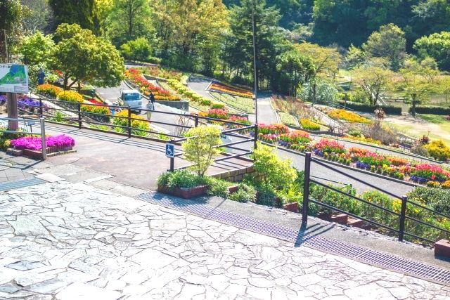“Panorama flower bed” at Wakayama Prefectural Botanical Park Green Flower Center