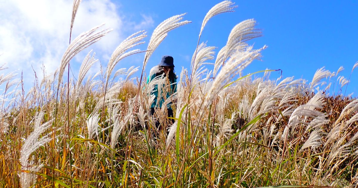 Kansai Trekking รูปภาพทัวร์ชมทิวทัศน์ที่แนะนำสำหรับผู้เริ่มต้น