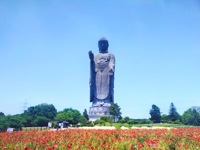 Ushiku Great Buddha