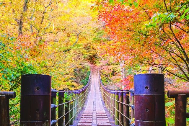 茨城　絶景スポット　花貫渓谷　秋の紅葉
