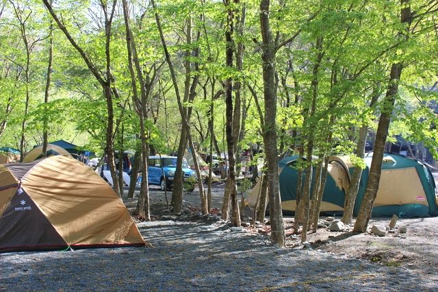 Bosco Auto Camp Base/神奈川/秦野