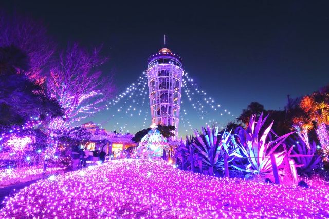 湘南の宝石2025-2026／神奈川・湘南