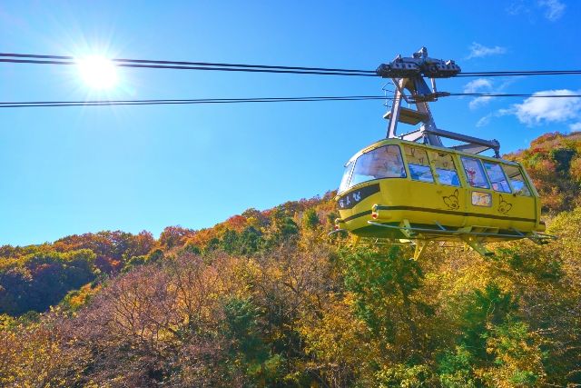 埼玉・長瀞　宝登山ロープウェイ　秋