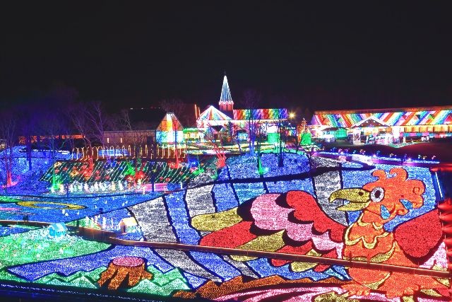 千葉　関東旅行スポット　東京ドイツ村　冬のイルミネーション