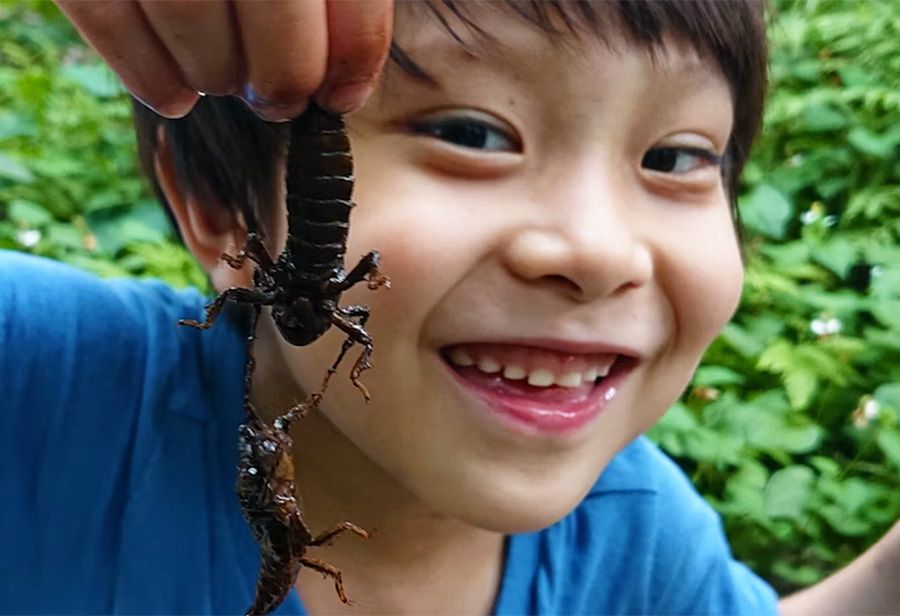 Kanto Outing Recommended for families with children! Children Family Outdoor Spots Tokyo Chofu Insect Collection Guide Catching nymphs and smiling River Aquatic Insects Nogawa Nature School