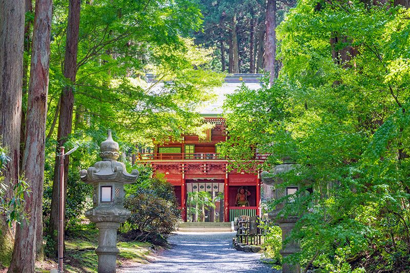 Kanto Travel with friends Recommended spots Ibaraki Oiwa Shrine Mt. Oiwa Hitachi City One of the best power spots in Kanto Approach to the shrine A place that connects to the universe A place where you can see a pillar that emits light