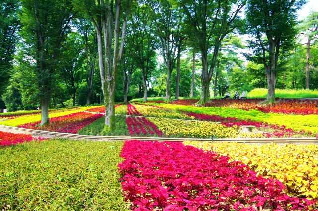 國立武藏九陵森林公園埼玉縣熊谷邊境花壇