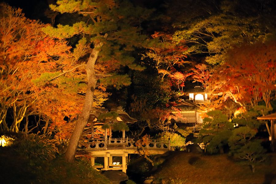 紅葉　ライトアップ　関東でおすすめのスポット　庭園　2024　三溪園　神奈川　横浜　もみじ　歴史的建造物